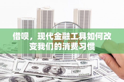 冬山借呗，现代金融工具如何改变我们的消费习惯