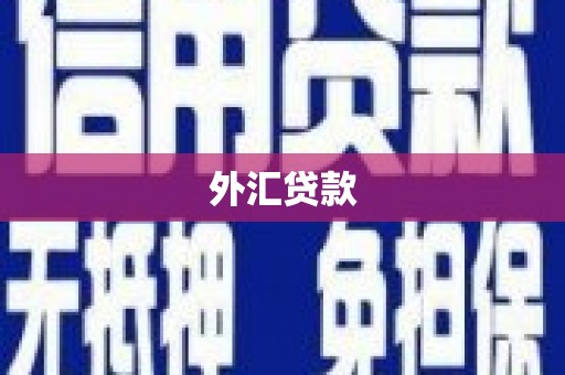 冬山外汇贷款