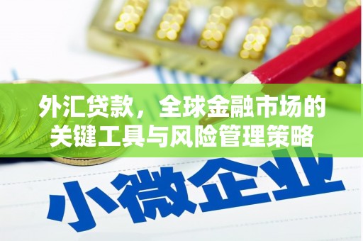 冬山外汇贷款，全球金融市场的关键工具与风险管理策略