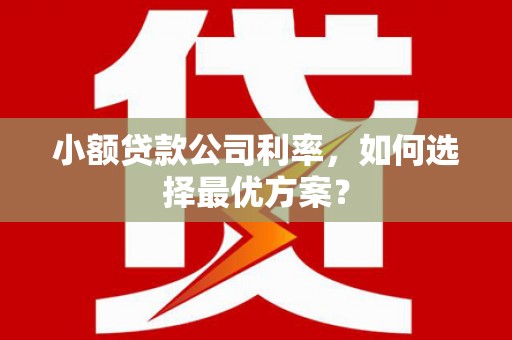 冬山小额贷款公司利率，如何选择最优方案？
