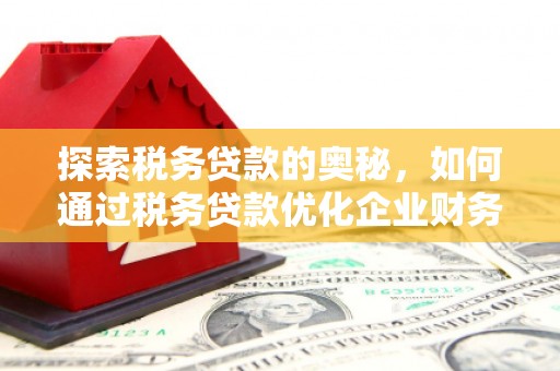 冬山探索税务贷款的奥秘，如何通过税务贷款优化企业财务