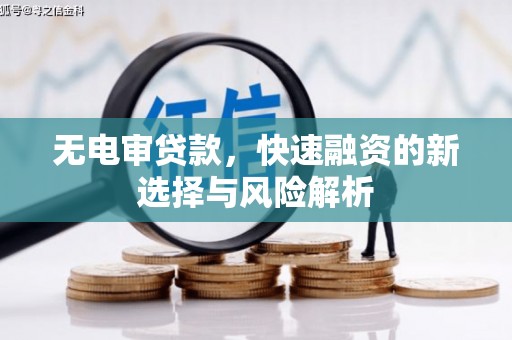 冬山无电审贷款，快速融资的新选择与风险解析