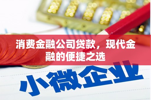 冬山消费金融公司贷款，现代金融的便捷之选