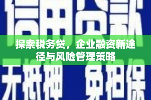 冬山探索税务贷，企业融资新途径与风险管理策略