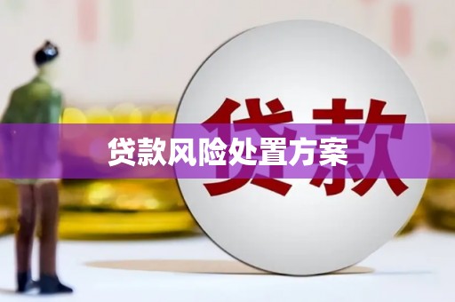 冬山贷款风险处置方案