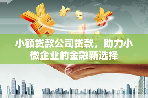 冬山小额贷款公司贷款，助力小微企业的金融新选择