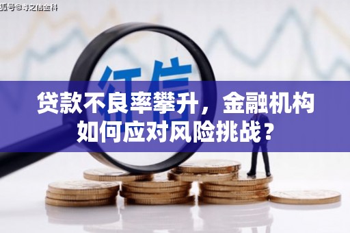 冬山贷款不良率攀升，金融机构如何应对风险挑战？
