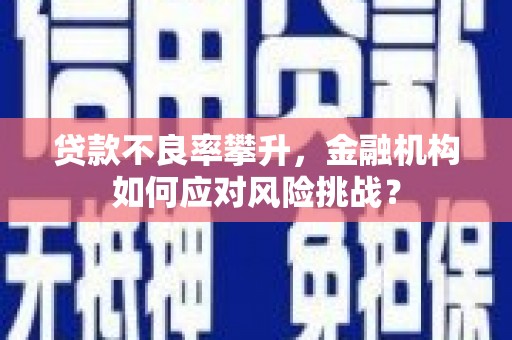 冬山贷款不良率攀升，金融机构如何应对风险挑战？