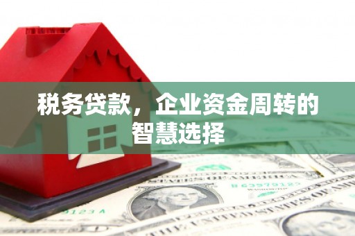 冬山税务贷款，企业资金周转的智慧选择