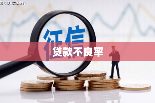 冬山贷款不良率