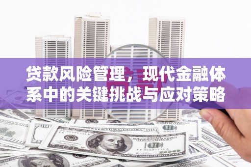 冬山贷款风险管理，现代金融体系中的关键挑战与应对策略