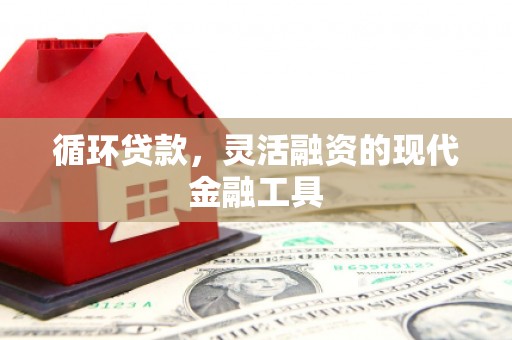 冬山循环贷款，灵活融资的现代金融工具
