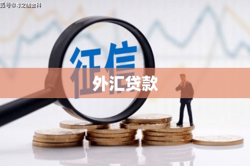 冬山外汇贷款