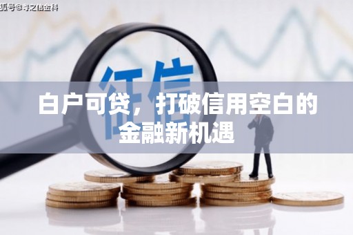 冬山白户可贷，打破信用空白的金融新机遇