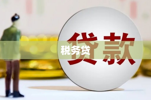 冬山税务贷