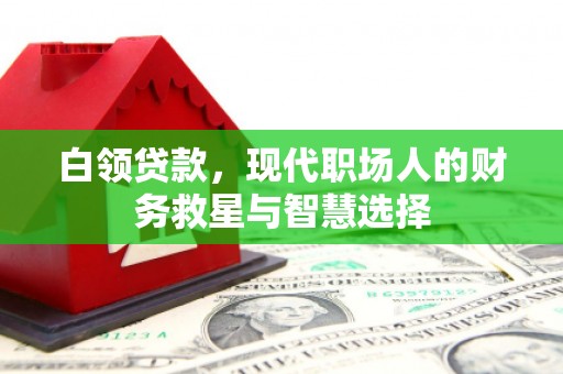 冬山白领贷款，现代职场人的财务救星与智慧选择