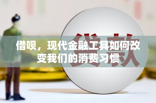 冬山借呗，现代金融工具如何改变我们的消费习惯