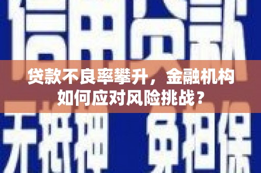 冬山贷款不良率攀升，金融机构如何应对风险挑战？