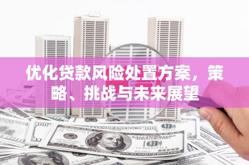 冬山优化贷款风险处置方案，策略、挑战与未来展望