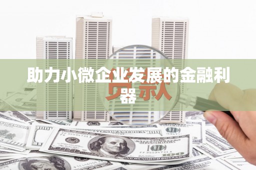 冬山助力小微企业发展的金融利器