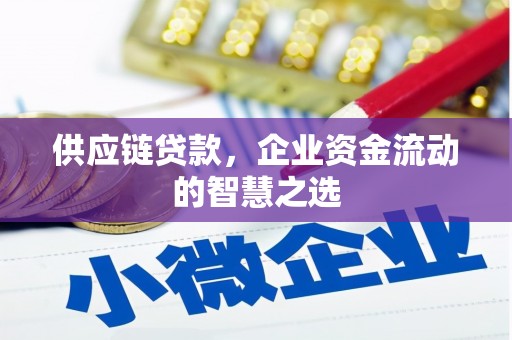 冬山供应链贷款，企业资金流动的智慧之选