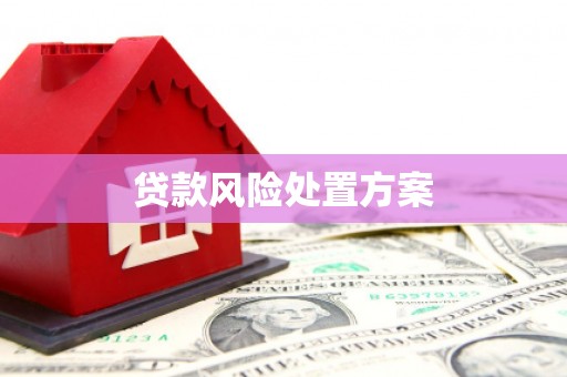 冬山贷款风险处置方案