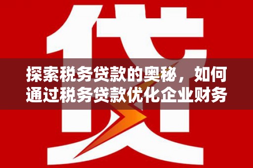 冬山探索税务贷款的奥秘，如何通过税务贷款优化企业财务
