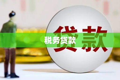 冬山税务贷款