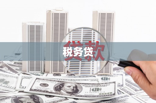 冬山税务贷