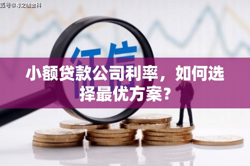 冬山小额贷款公司利率，如何选择最优方案？