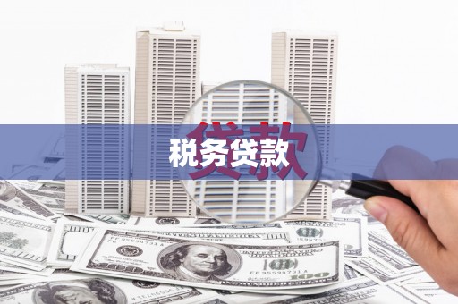 冬山税务贷款