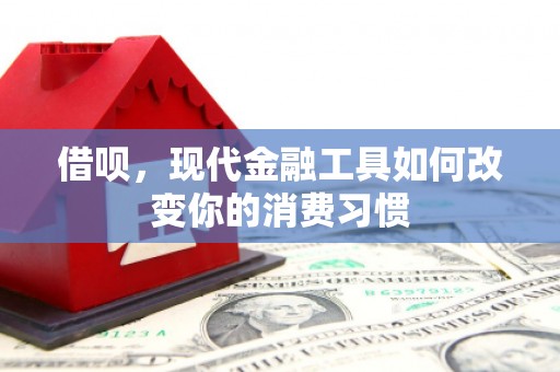 冬山借呗，现代金融工具如何改变你的消费习惯