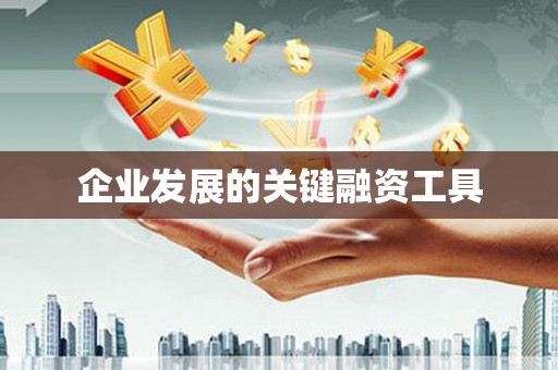 冬山企业发展的关键融资工具