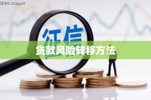 冬山贷款风险转移方法