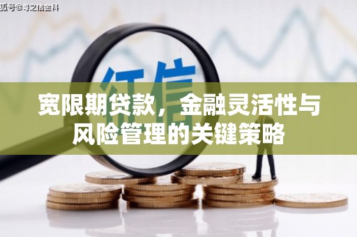 冬山宽限期贷款，金融灵活性与风险管理的关键策略