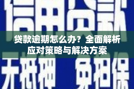 冬山贷款逾期怎么办？全面解析应对策略与解决方案