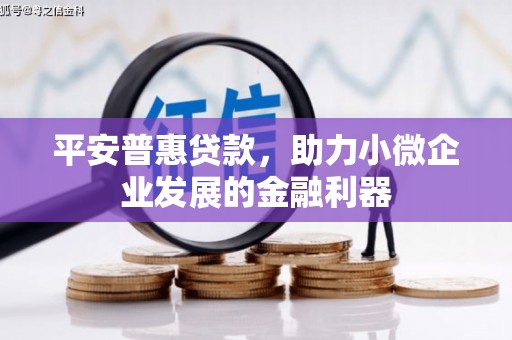 冬山平安普惠贷款，助力小微企业发展的金融利器