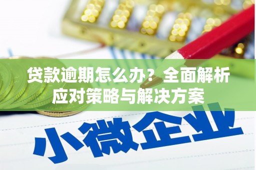 冬山贷款逾期怎么办？全面解析应对策略与解决方案