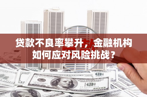 冬山贷款不良率攀升，金融机构如何应对风险挑战？