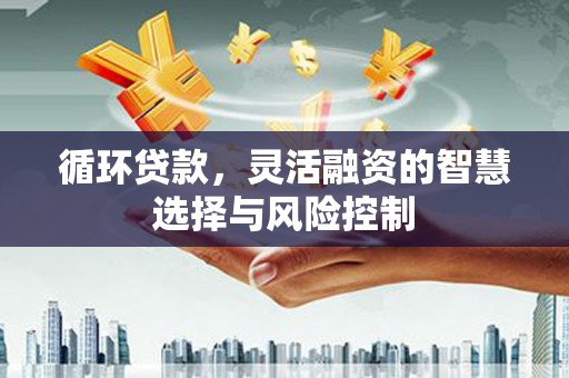 冬山循环贷款，灵活融资的智慧选择与风险控制