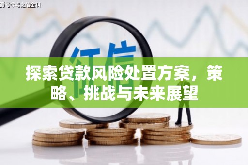 冬山探索贷款风险处置方案，策略、挑战与未来展望
