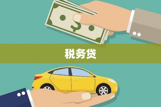 冬山税务贷