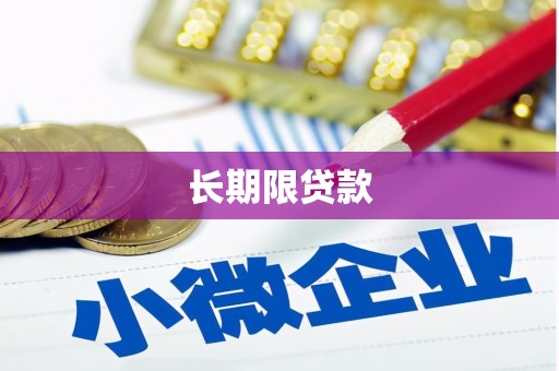 冬山长期限贷款