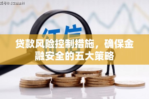 冬山贷款风险控制措施，确保金融安全的五大策略