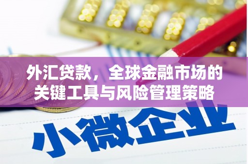 冬山外汇贷款，全球金融市场的关键工具与风险管理策略