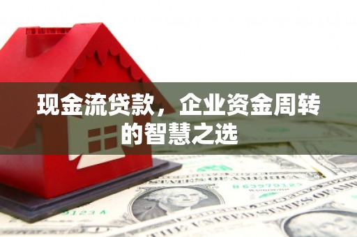冬山现金流贷款，企业资金周转的智慧之选