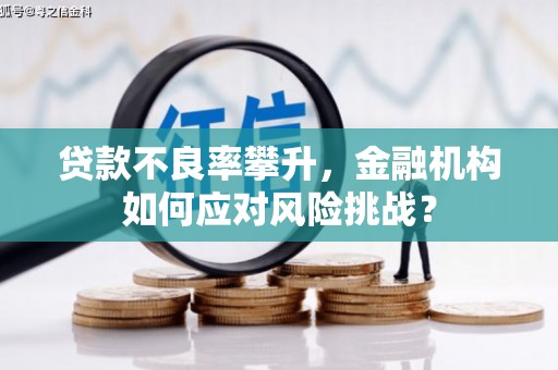 冬山贷款不良率攀升，金融机构如何应对风险挑战？