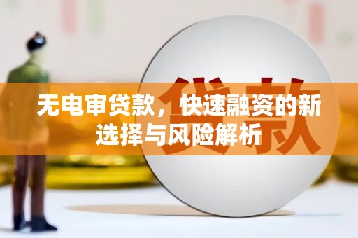冬山无电审贷款，快速融资的新选择与风险解析
