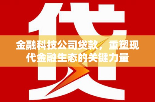 冬山金融科技公司贷款，重塑现代金融生态的关键力量