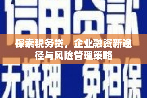 冬山探索税务贷，企业融资新途径与风险管理策略